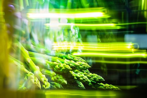 農(nóng)產(chǎn)品成熟營養(yǎng)蔬菜蘆筍圖片攝影圖 廣告素材 下載至來源處