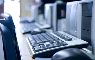 2019年美國留學職業展望 盤點七大發展前景廣闊的職業領域，聚焦信息技術開發