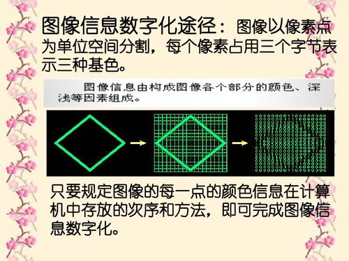 計(jì)算機(jī)中的聲音世界 信息技術(shù)與計(jì)算機(jī)信息技術(shù)開發(fā)的交融